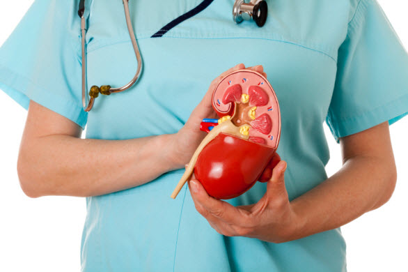 Best Kidney Transplant Doctor